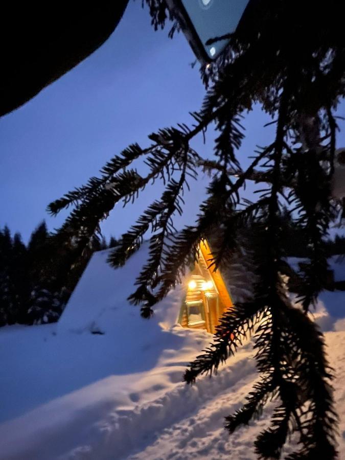 Rajska Suma Vila Žabljak Exterior foto