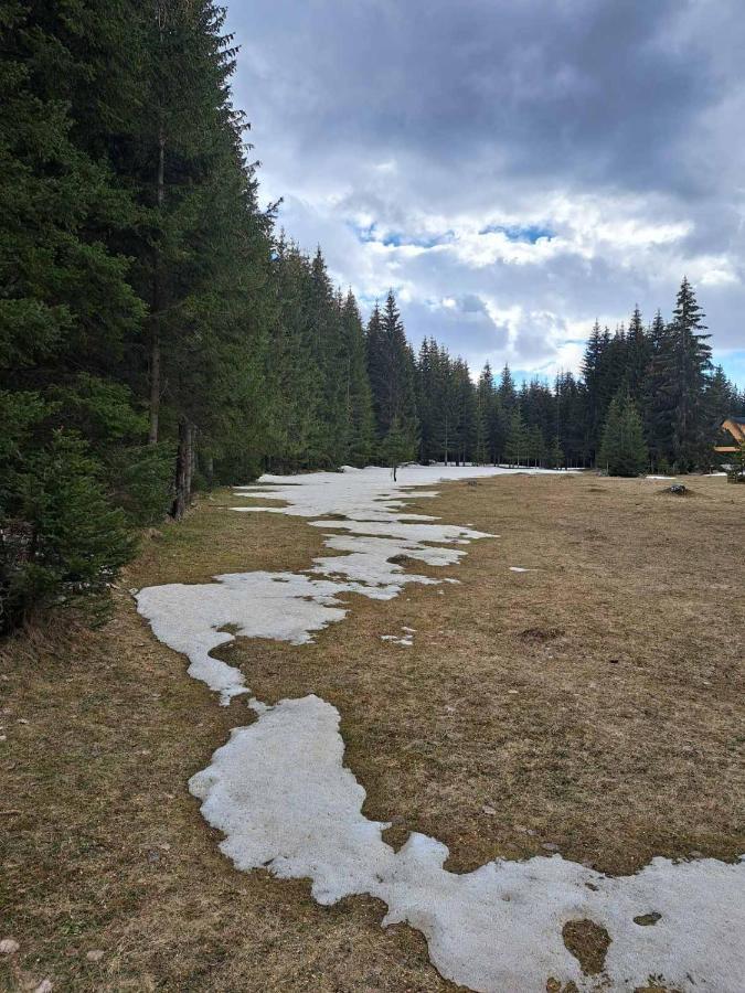 Rajska Suma Vila Žabljak Exterior foto